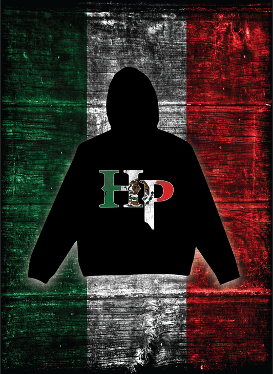 HP LOGO HOODIE