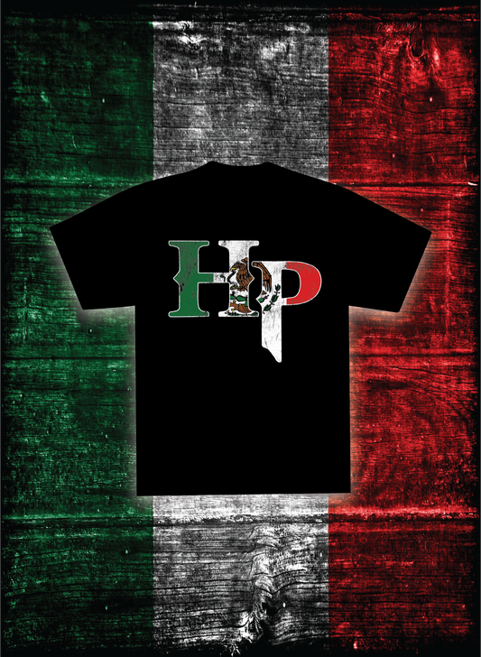 HP LOGO T- SHIRT