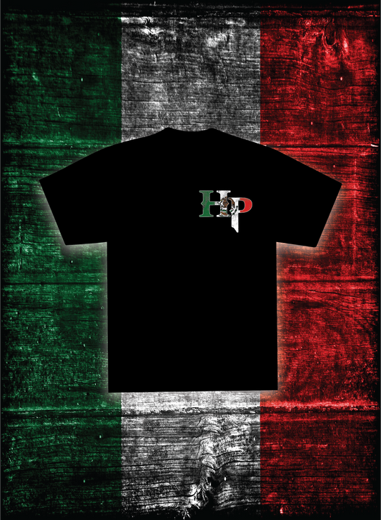 HP LOGO T- SHIRT
